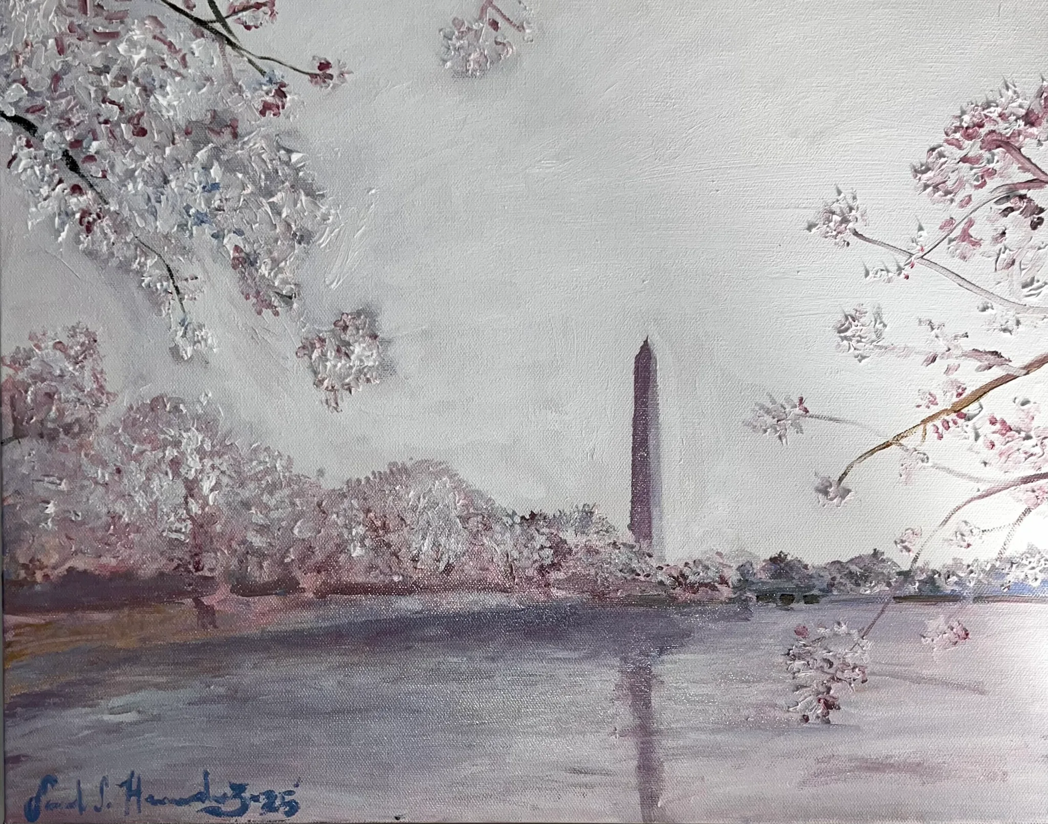 Commission: DC Cherry Blossoms