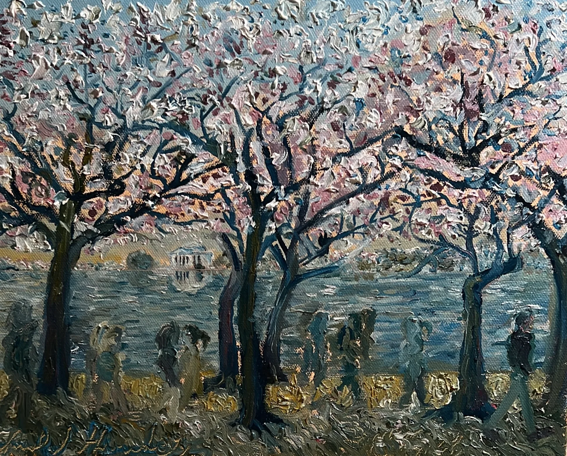 Tidal Basin Cherry Blossoms